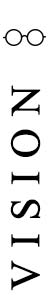 vision